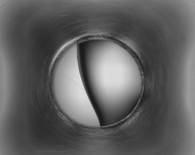 X0000085280927200703090933