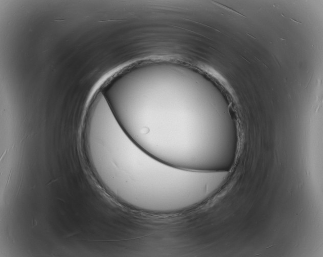 X0000085280928200703090933