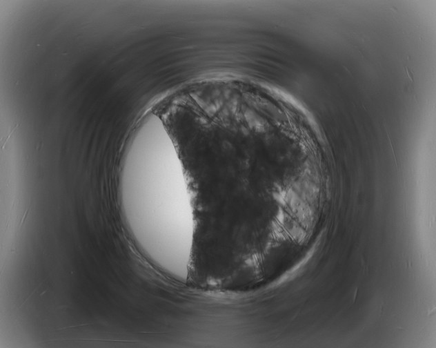 X0000085280929200703090933