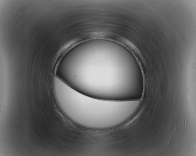 X0000085280930200703090933