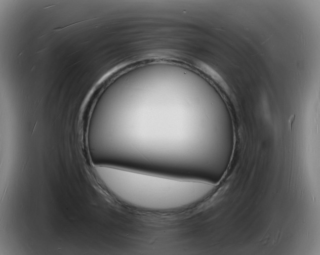 X0000085280931200703090933