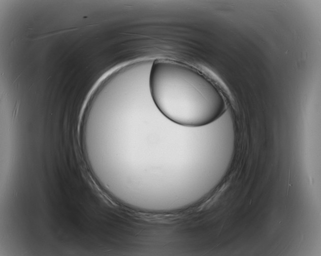 X0000085280932200703090933
