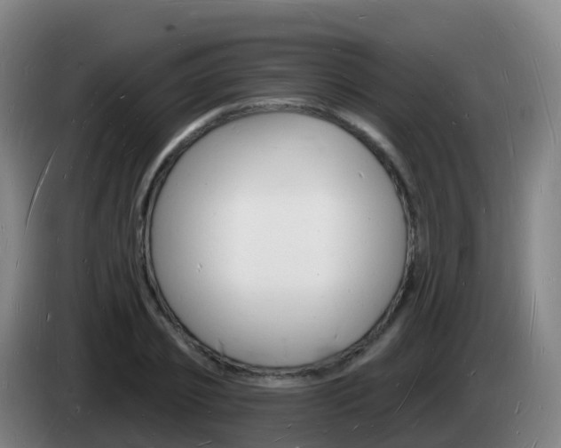 X0000085280933200703090933