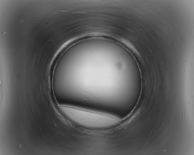 X0000085280934200703090933