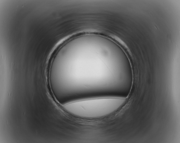 X0000085280935200703090933