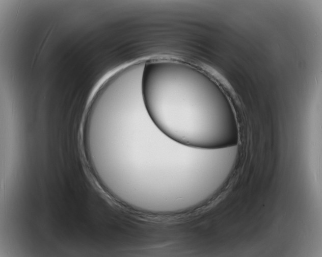 X0000085280936200703090933