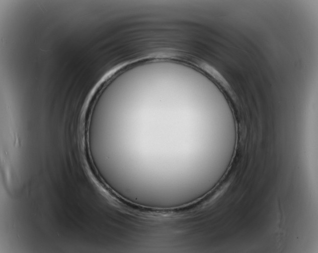 X0000085280939200703090933