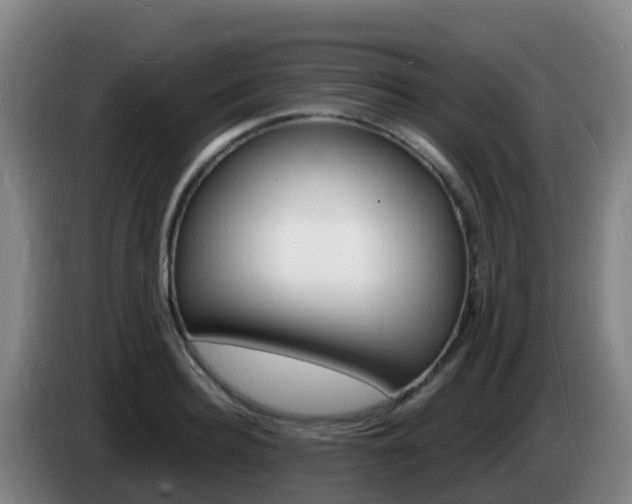 X0000085280940200703090933