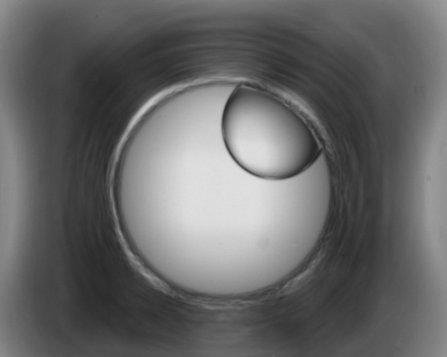 X0000085280942200703090933