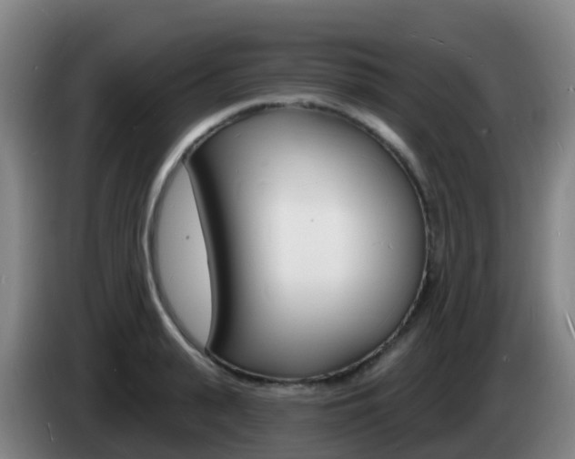 X0000085280943200703090933