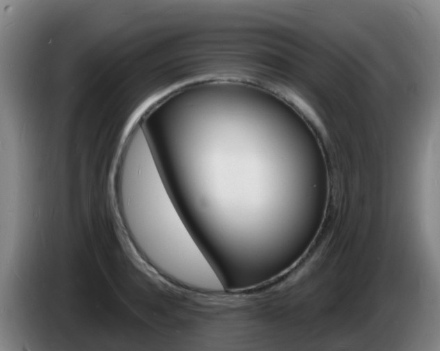 X0000085280944200703090933