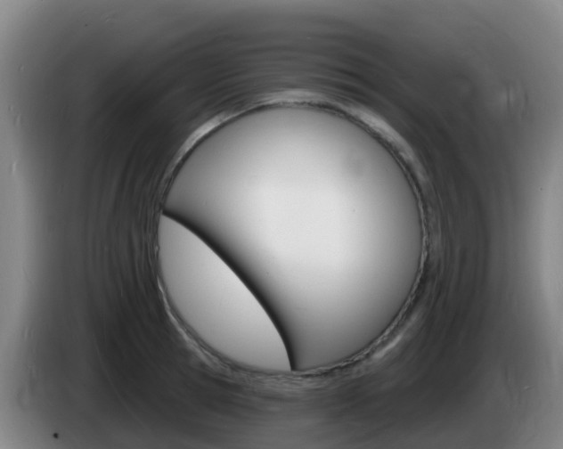 X0000085280945200703090933