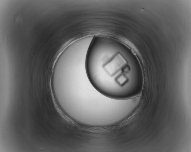 X0000085280946200703090933