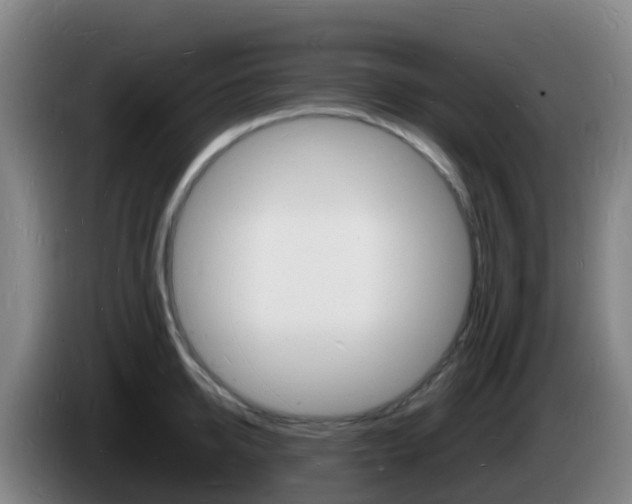 X0000085280950200703090933