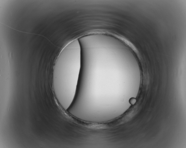 X0000085280953200703090933