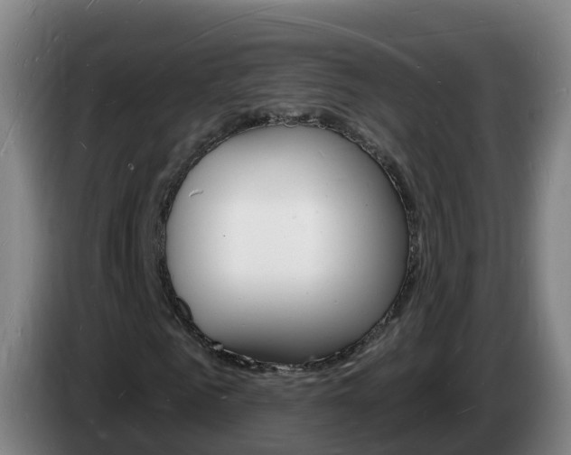 X0000085280961200703090933