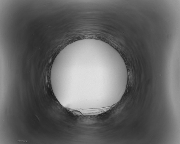 X0000085280962200703090933