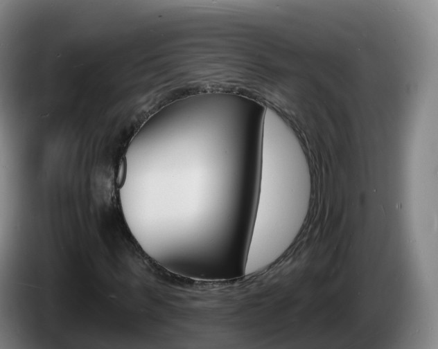 X0000085280963200703090933