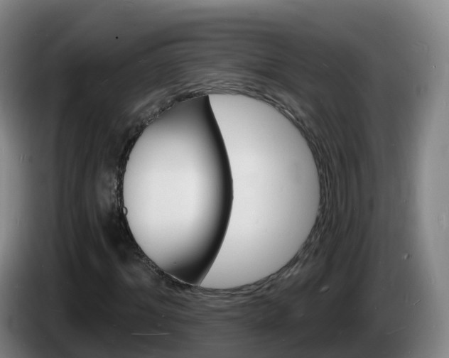 X0000085280964200703090933