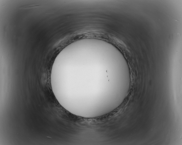 X0000085280966200703090933