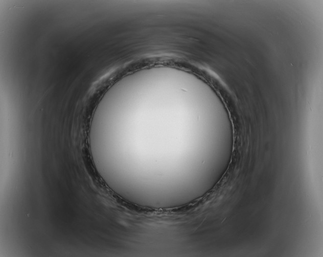 X0000085280967200703090933