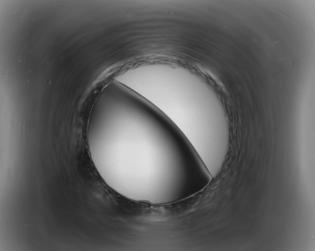 X0000085280968200703090933