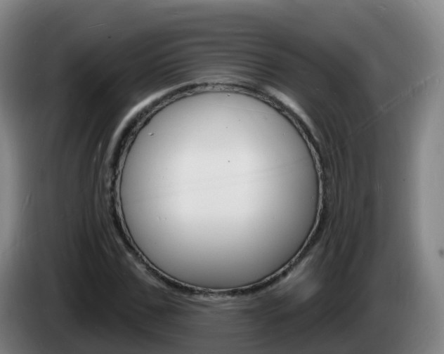X0000085280971200703090933