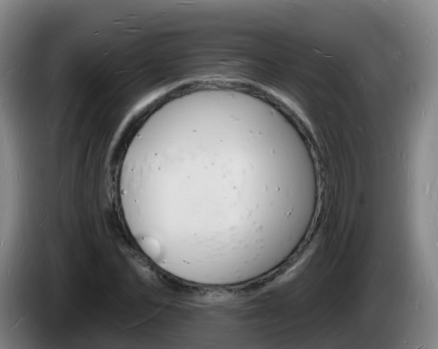 X0000085280974200703090933