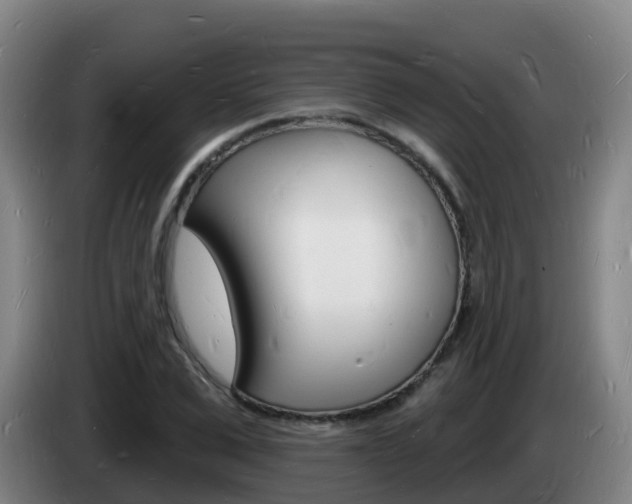 X0000085280975200703090933
