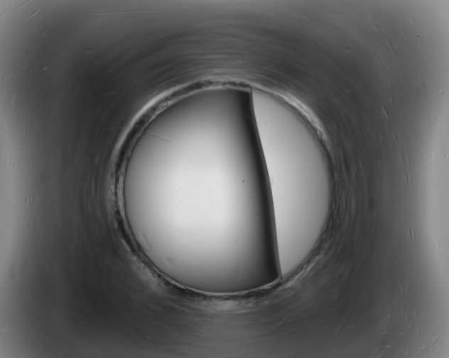 X0000085280976200703090933