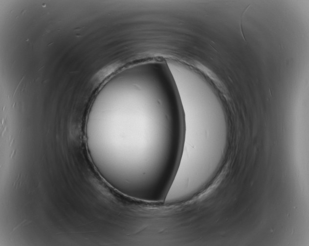 X0000085280977200703090933