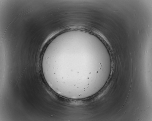 X0000085280978200703090933
