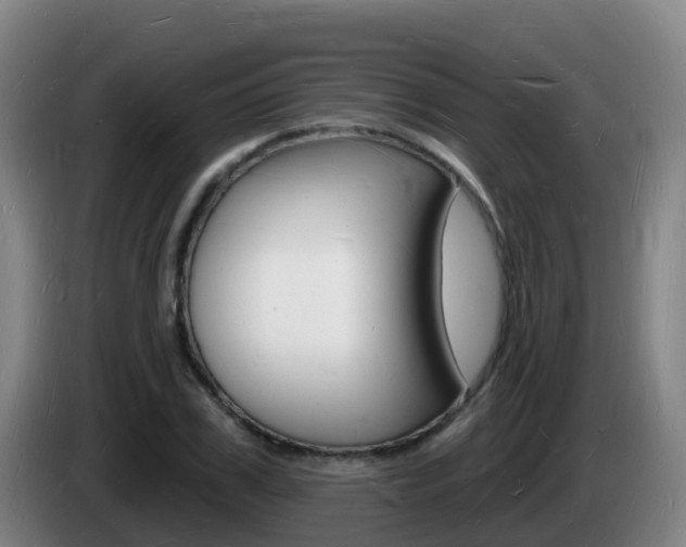 X0000085280979200703090933