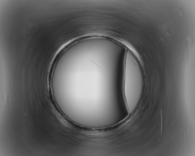 X0000085280980200703090933