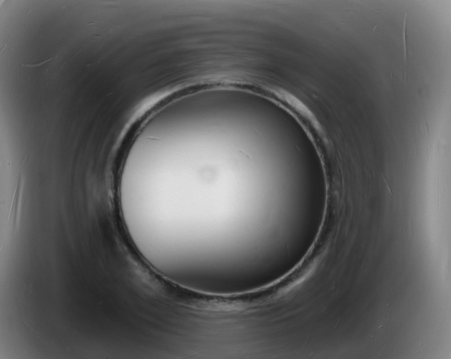 X0000085280981200703090933