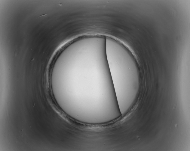 X0000085280982200703090933
