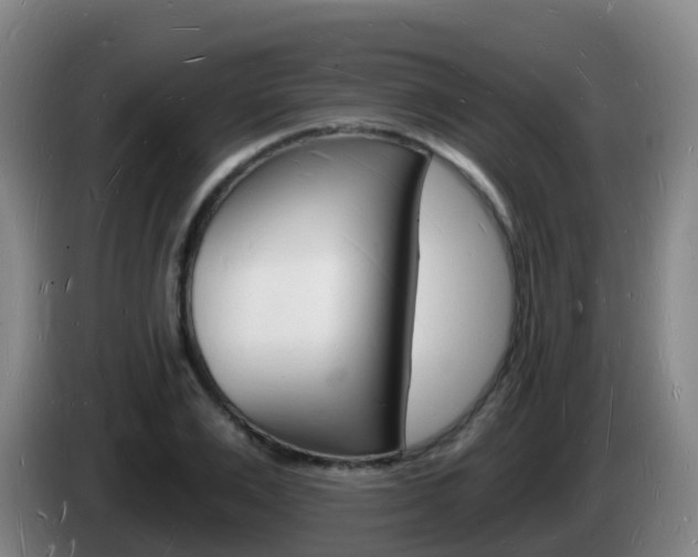 X0000085280983200703090933
