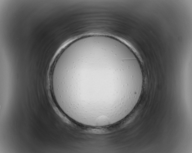 X0000085280998200703090932