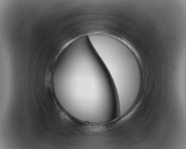 X0000085281001200703090932