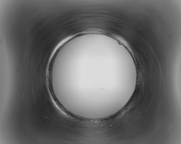 X0000085281003200703090932