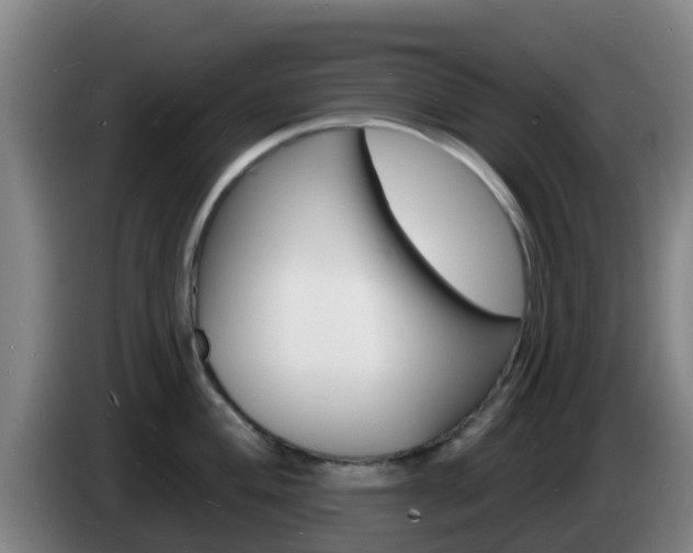 X0000085281004200703090932