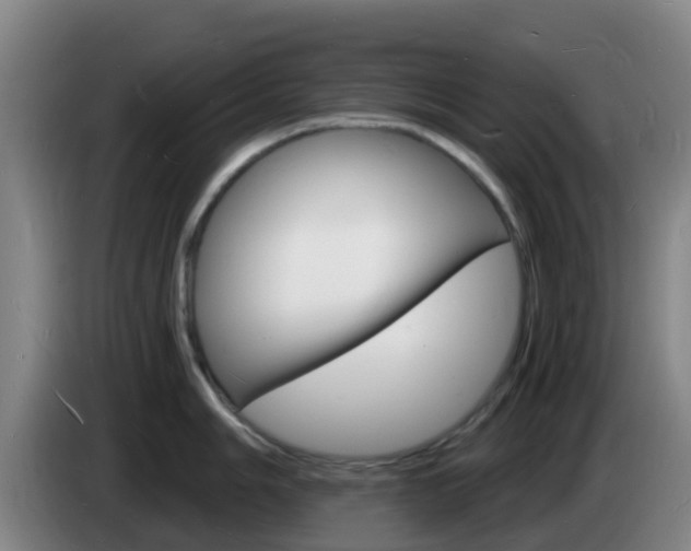 X0000085281006200703090932