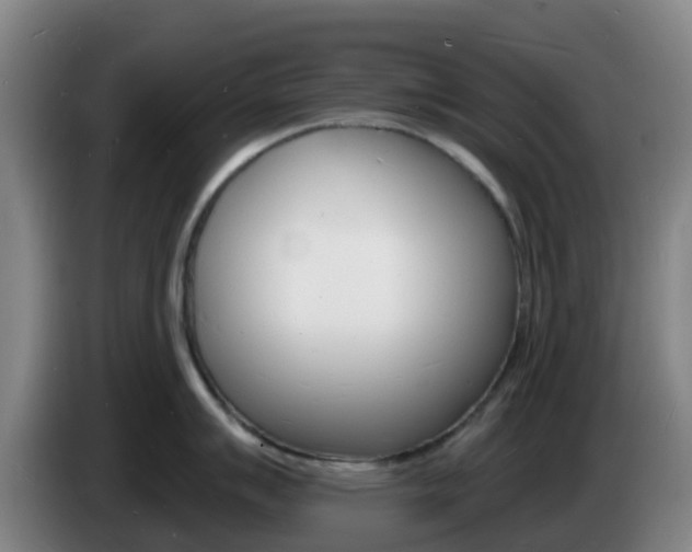 X0000085281007200703090932