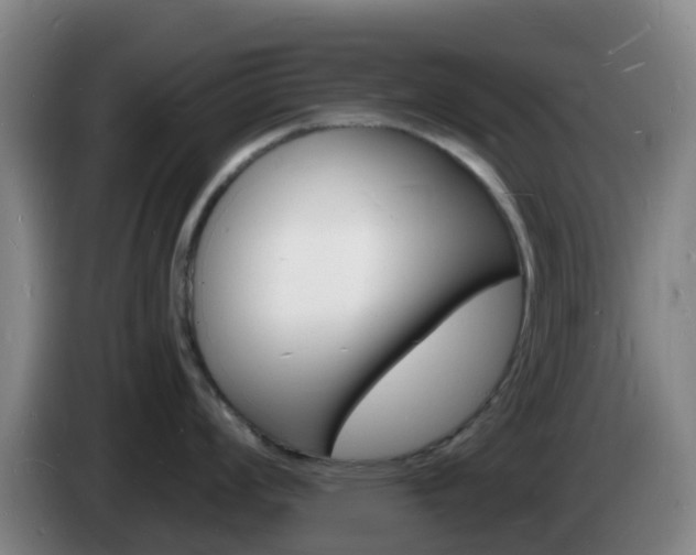 X0000085281008200703090932