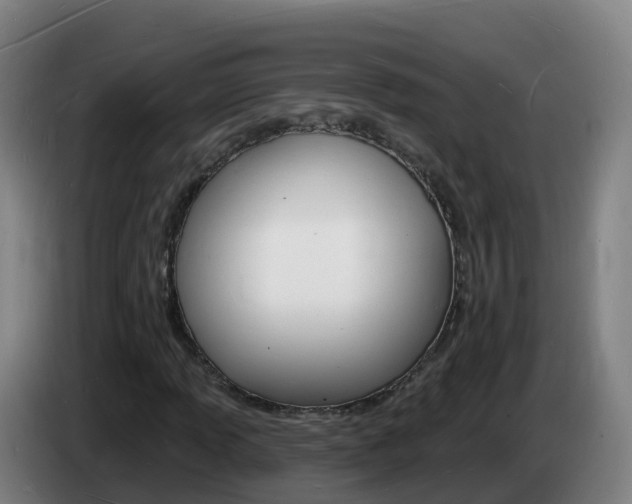 X0000085281013200703090932