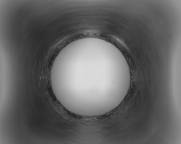 X0000085281015200703090932