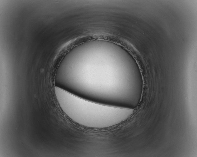 X0000085281016200703090932