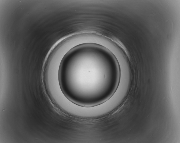 X0000085281020200703090932