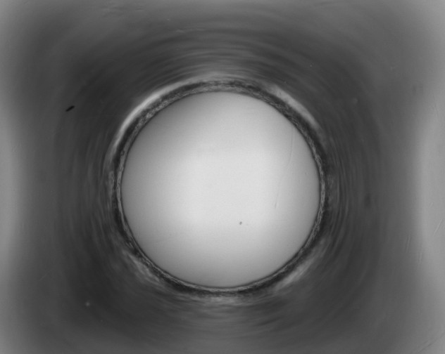 X0000085281021200703090932