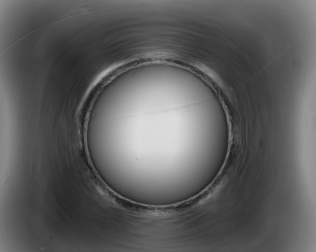 X0000085281022200703090932
